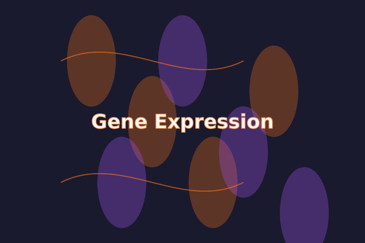 How to Deploy a Next.js Blog on Vercel