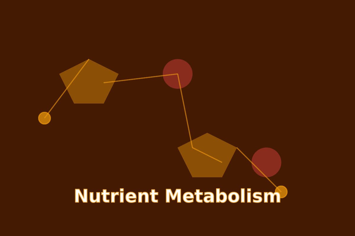 Evolution of alcohol tolerance — Friend or Foe?